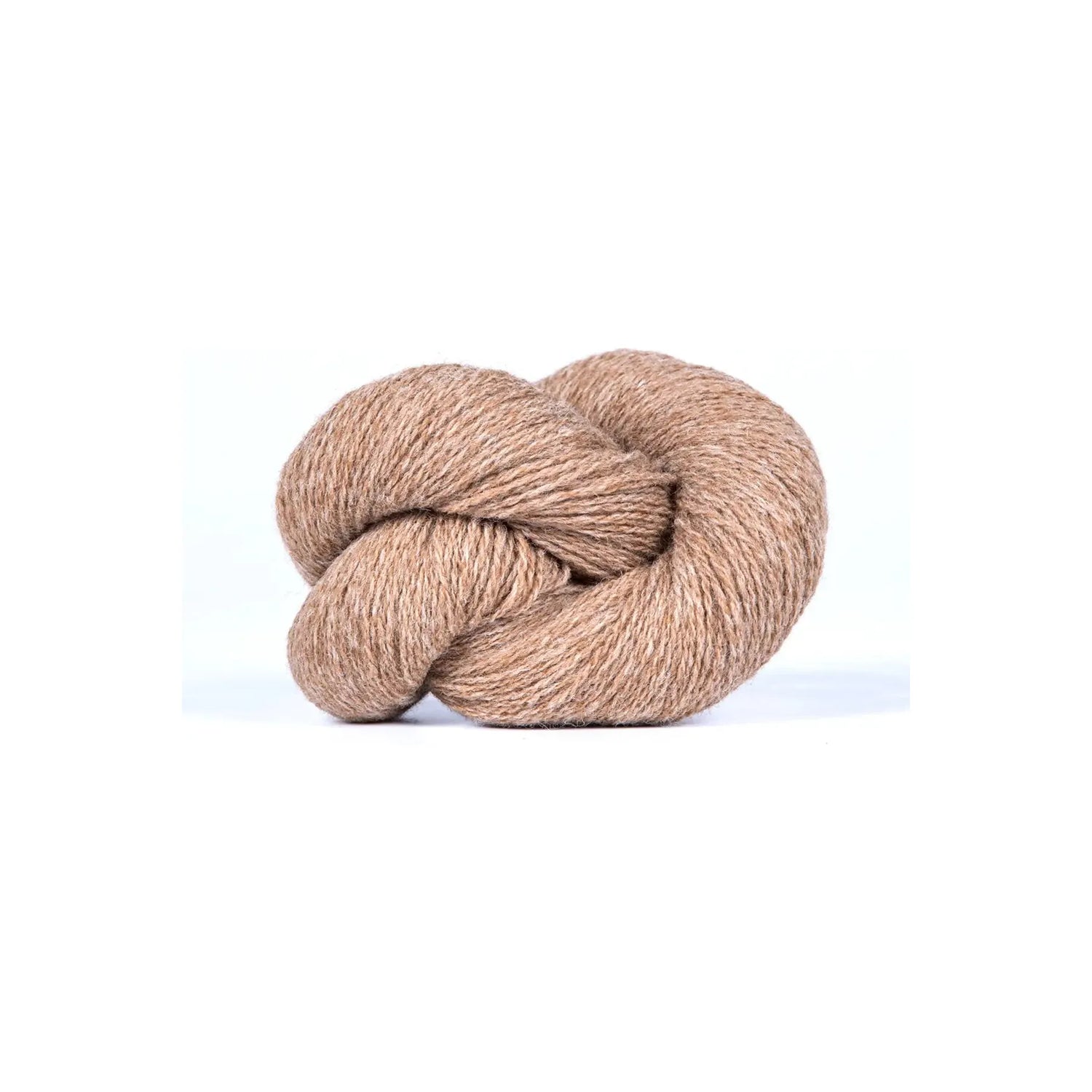 Bio Shetland | 04 mouflon