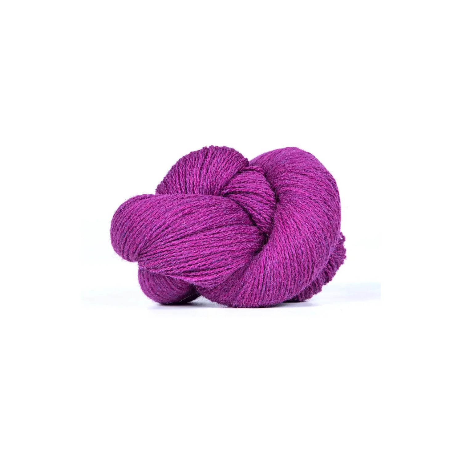 Bio Shetland | 27 loganberry