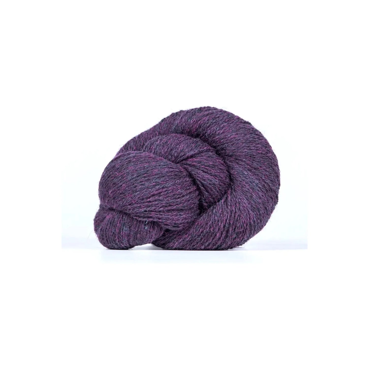 Bio Shetland | 29 sloe