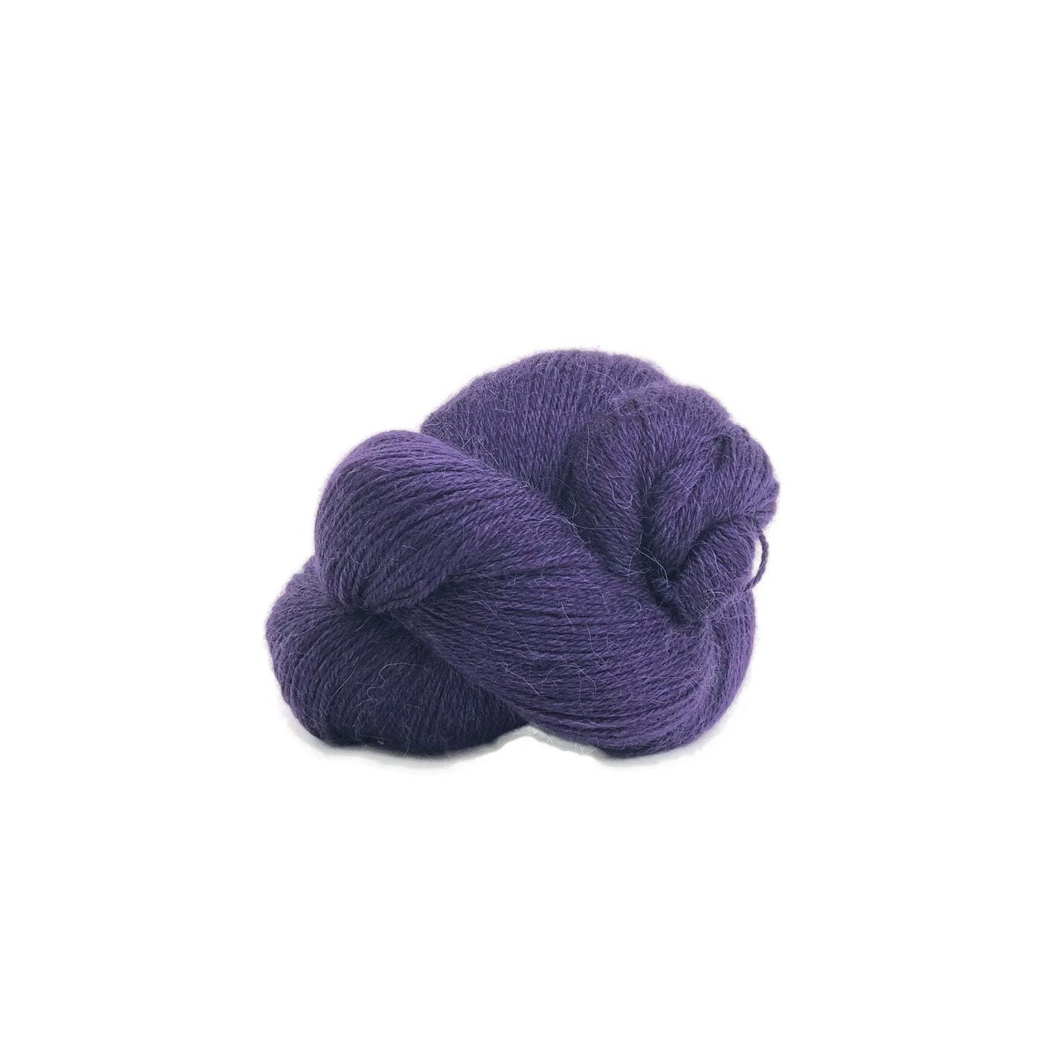 Perennial | 501 purple